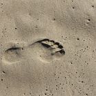 Footprint in the sand