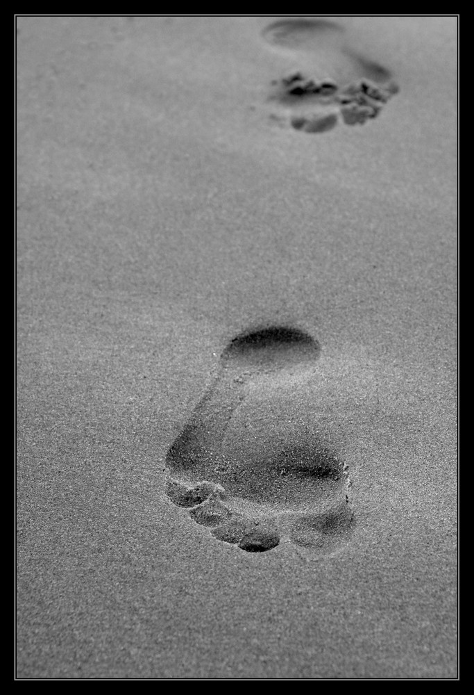 ~ footprints ~