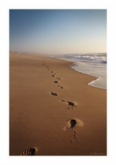 footprints