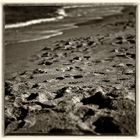 ~ footprints ~