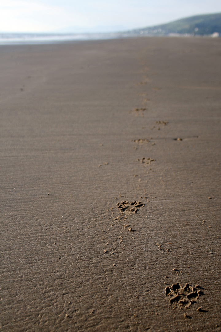 Footprints