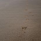 Footprints