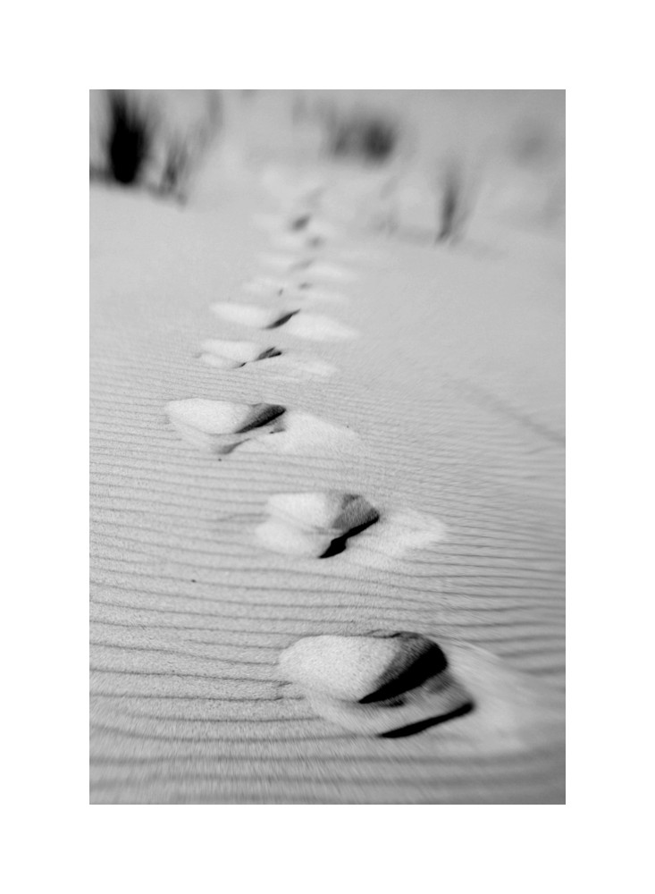 Footprints