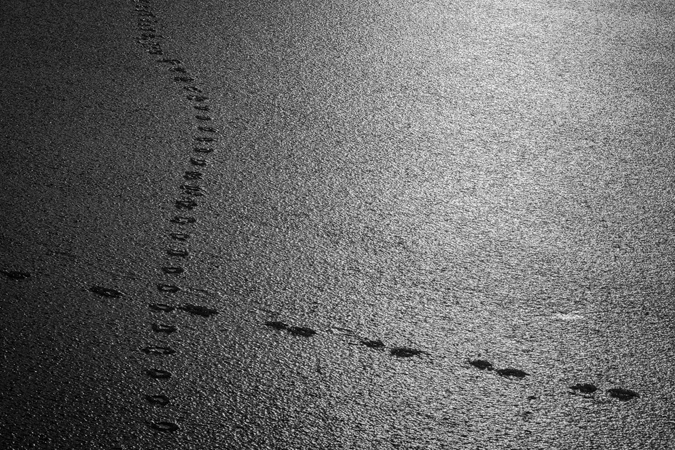 Footprints