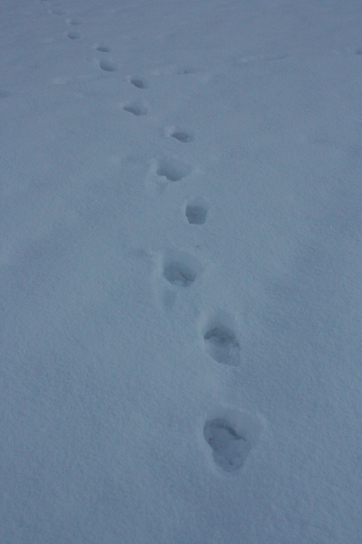 Footprints