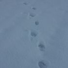 Footprints