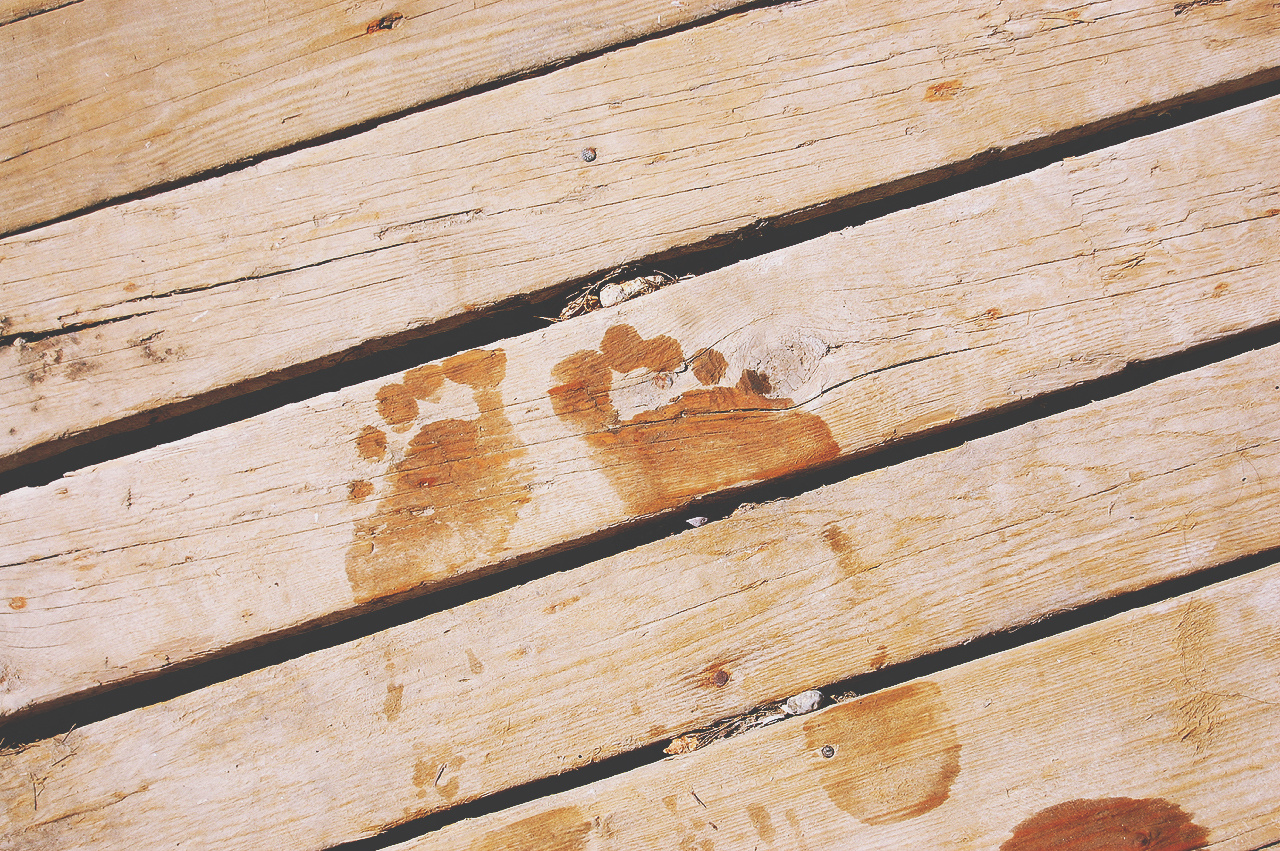 Footprints.