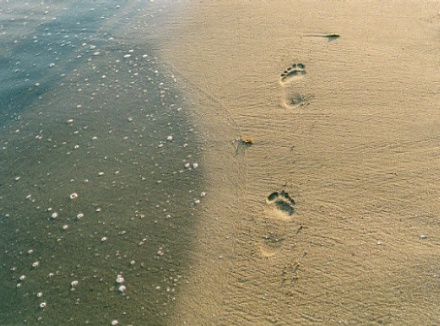 footprints