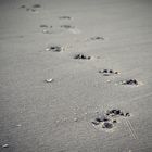Footprints ..