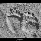 footprints