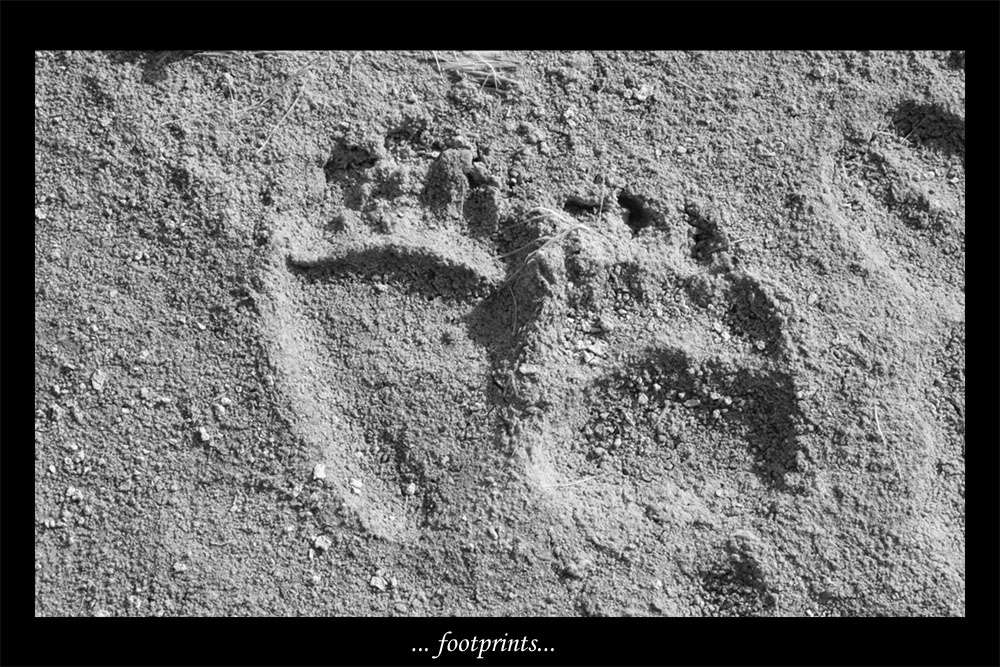 footprints