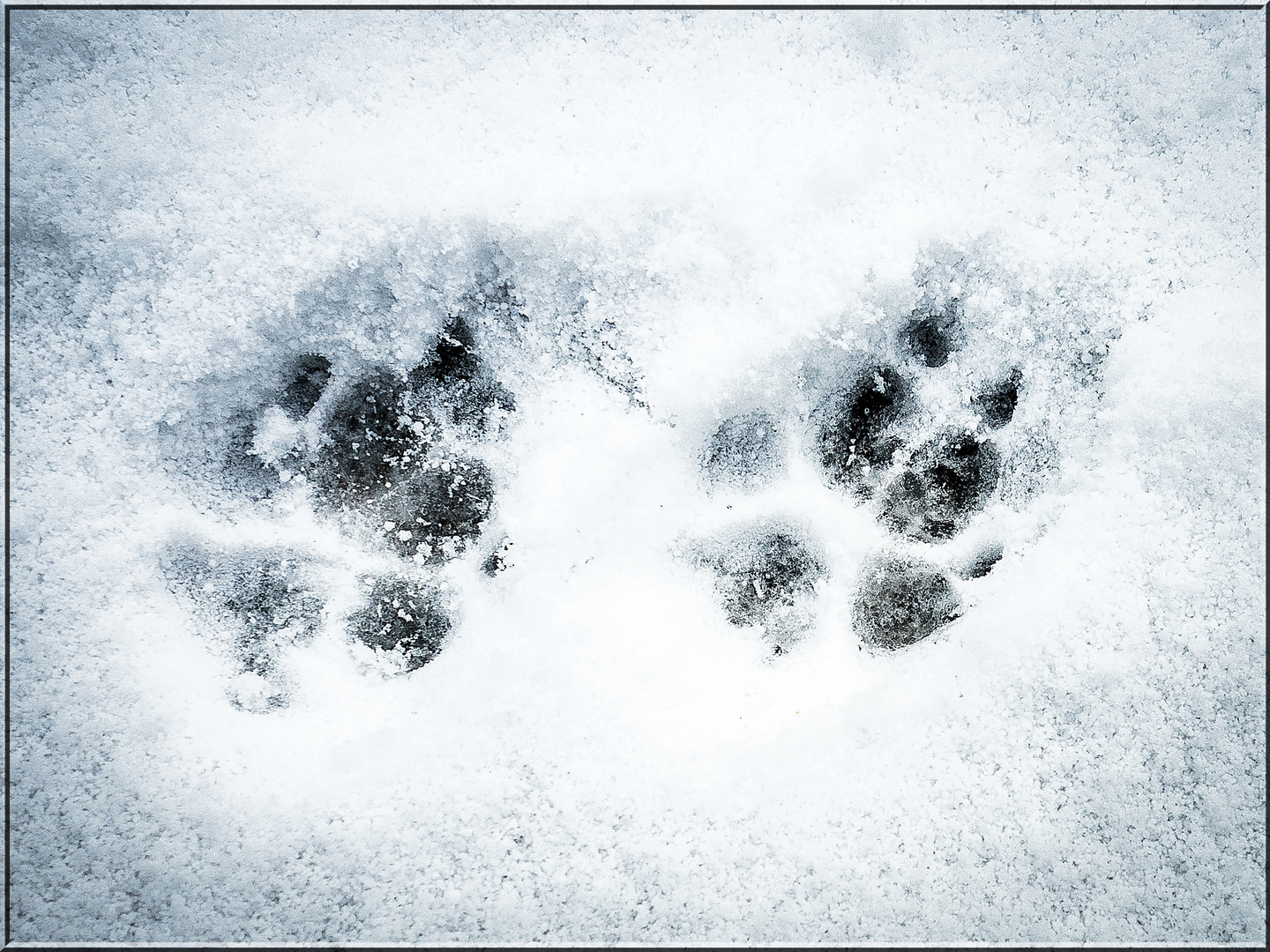 Footprints