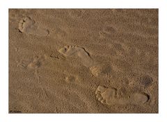 FOOTPRINTS