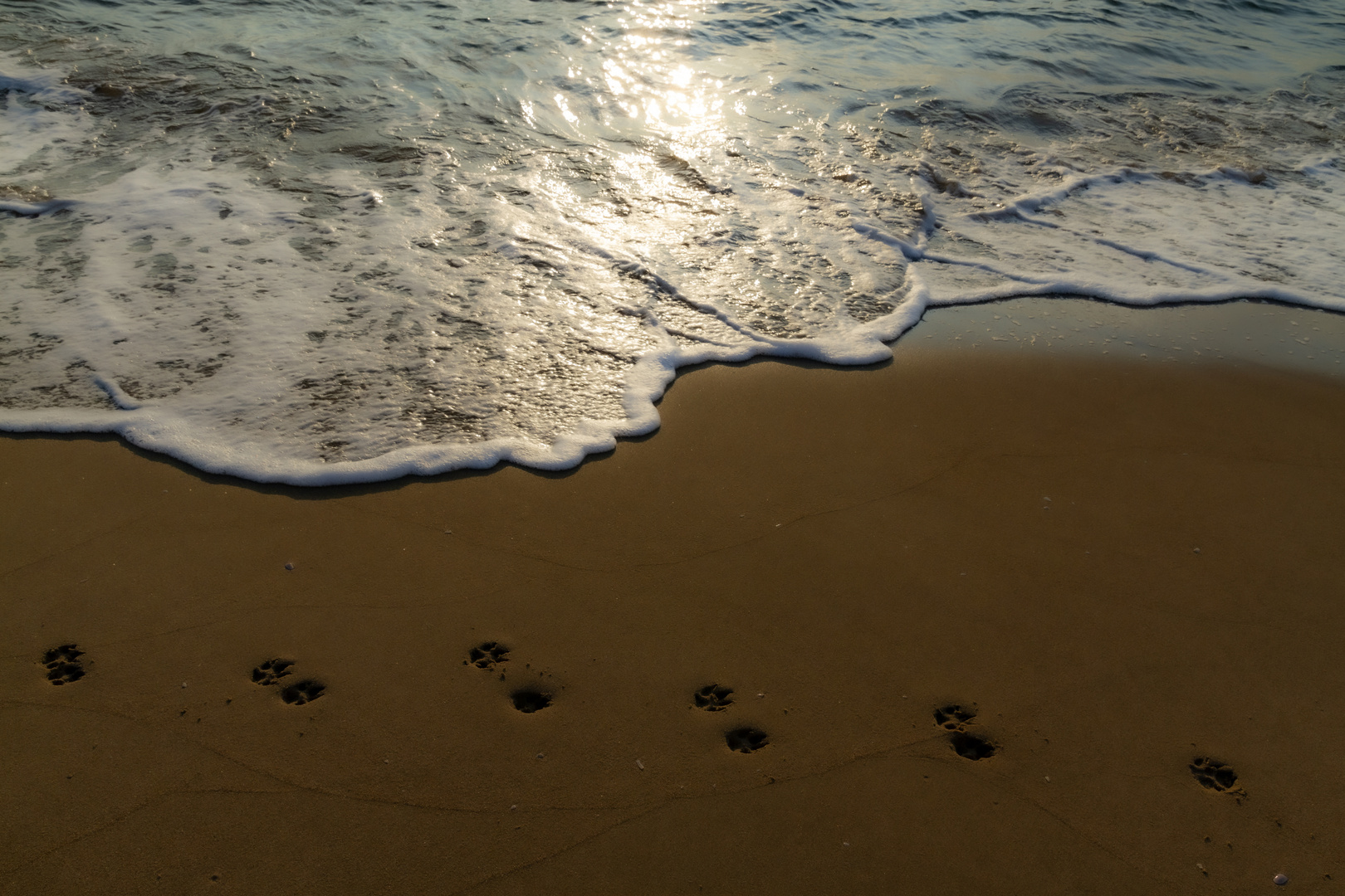 footprints