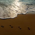 footprints