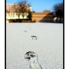 Footprints