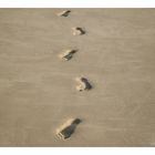 Footprints