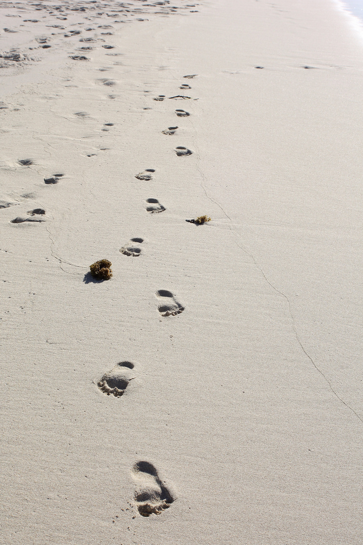 footprints