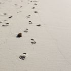 footprints