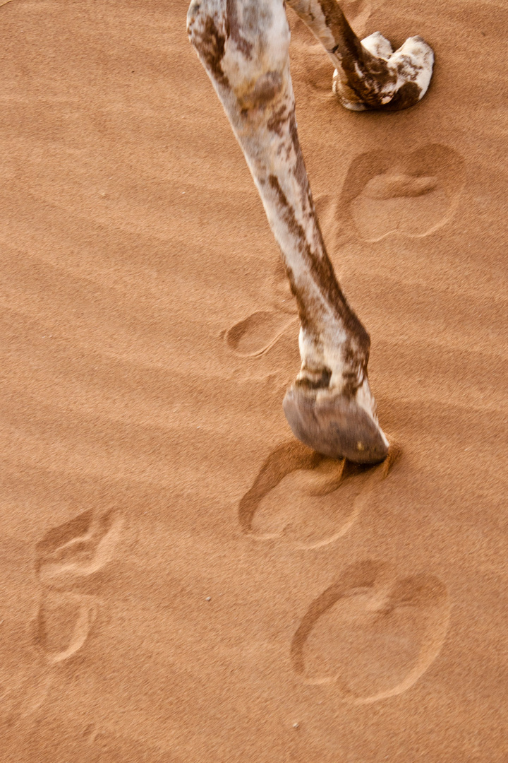 footprints