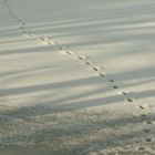 Footprints