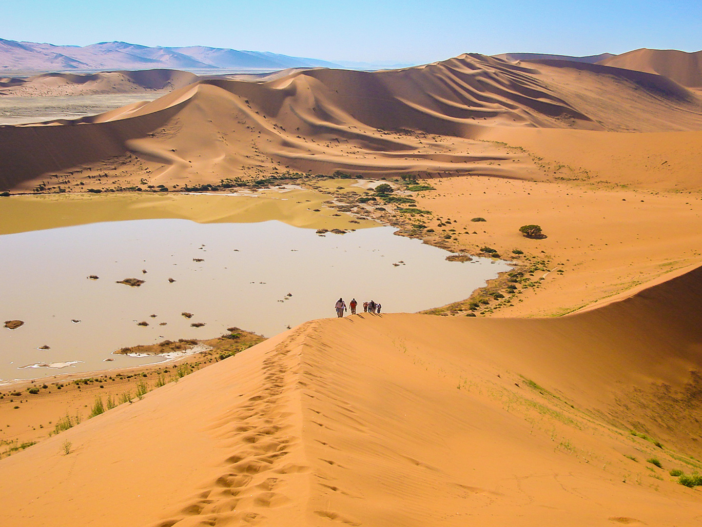 Footprints in the desert sand