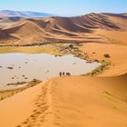 Footprints in the desert sand