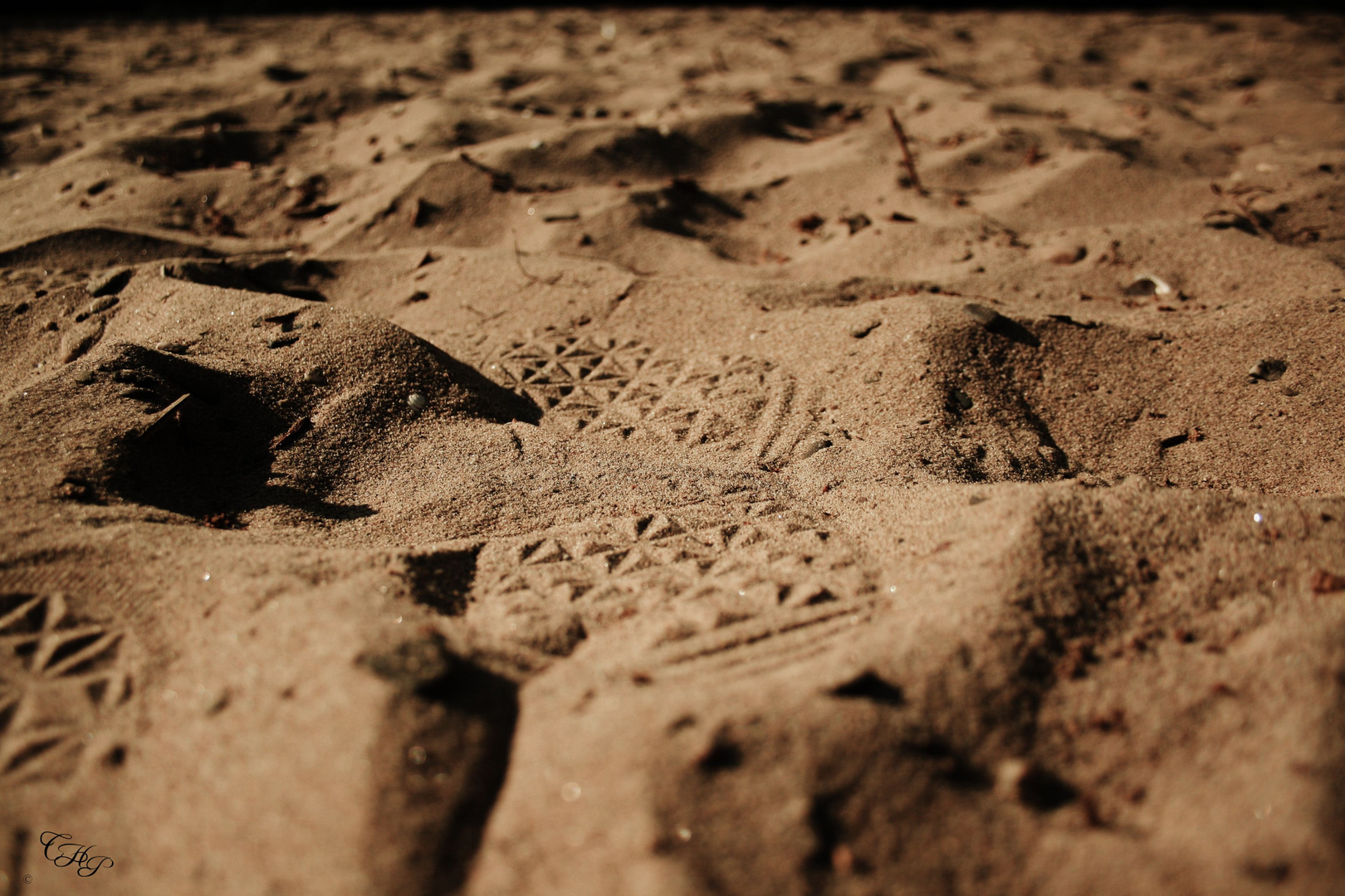 Footprints in the sand