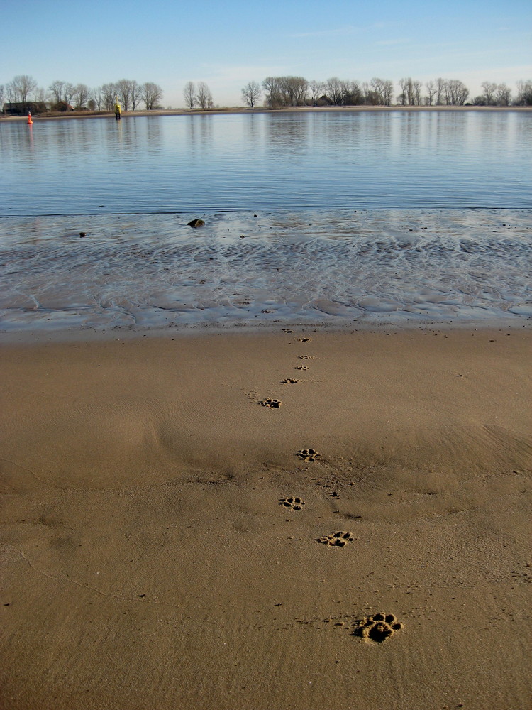 footprints in the sand