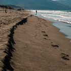 Footprints in the sand