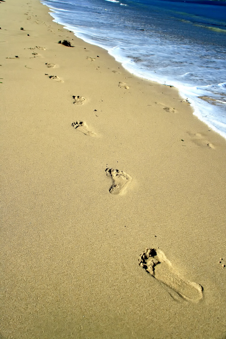 Footprints in the Sand