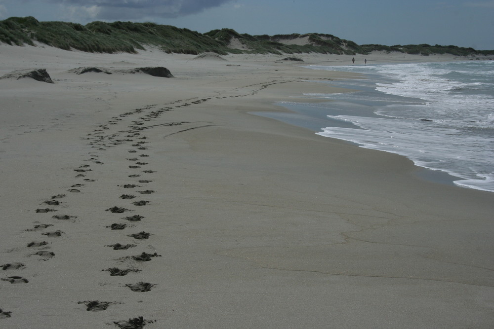 footprints in the sand