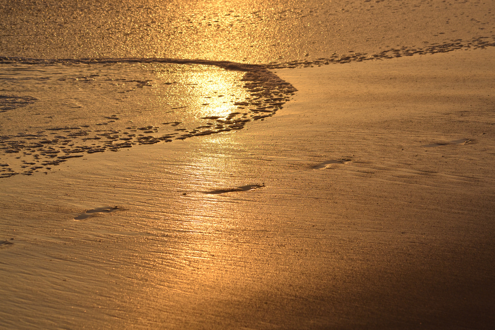 Footprints in the Sand