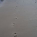 Footprints in the Sand...