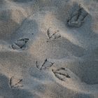 footprints in the sand