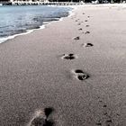 footprints in the sand