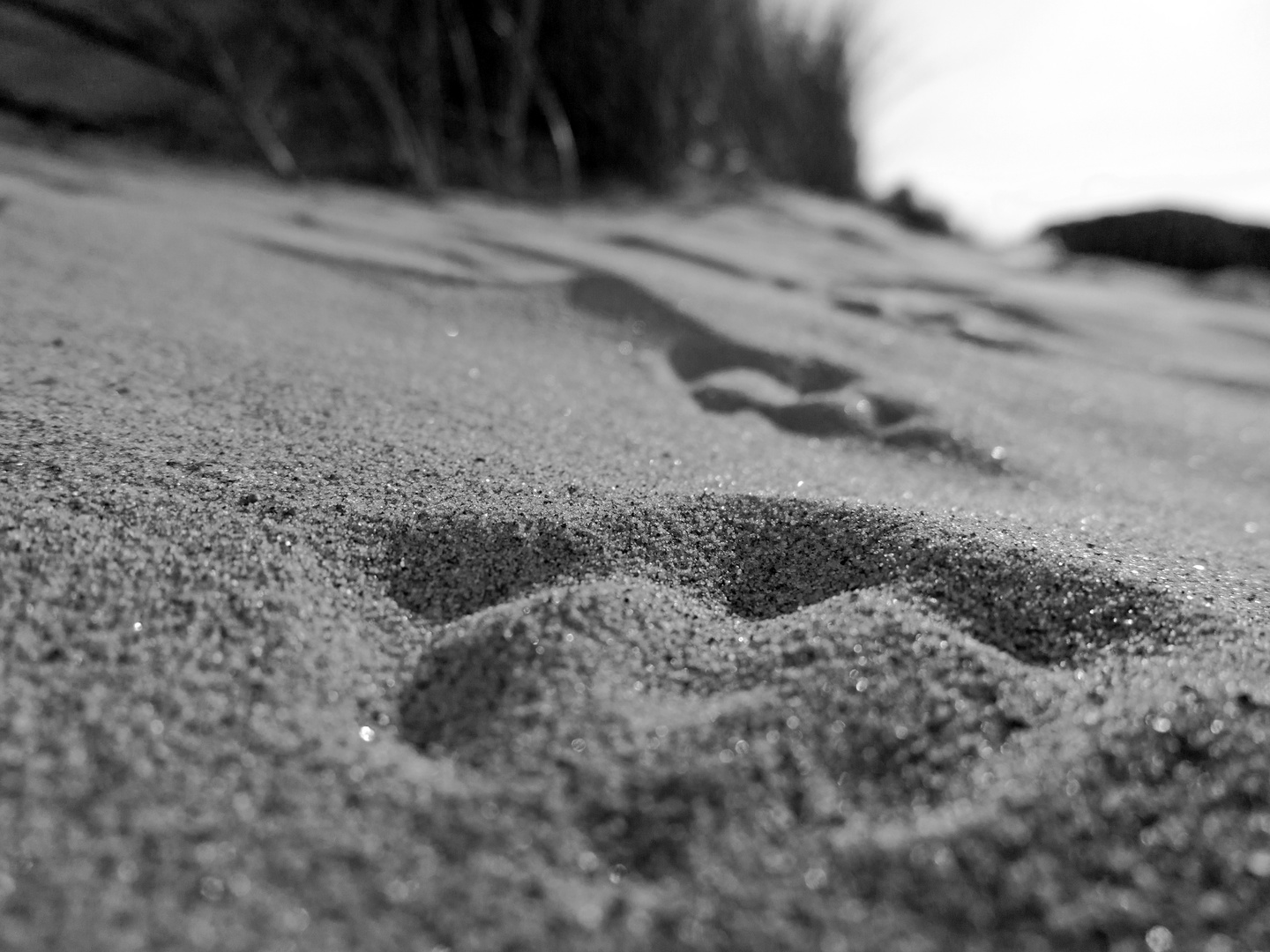 footprints in the sand