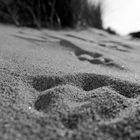 footprints in the sand