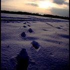 Footprints In The Snow