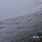 Footprints in the snow.