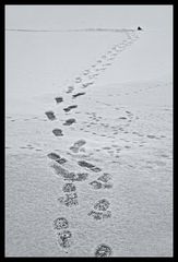 Footprints on Ice