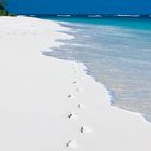 Footprints on the beach