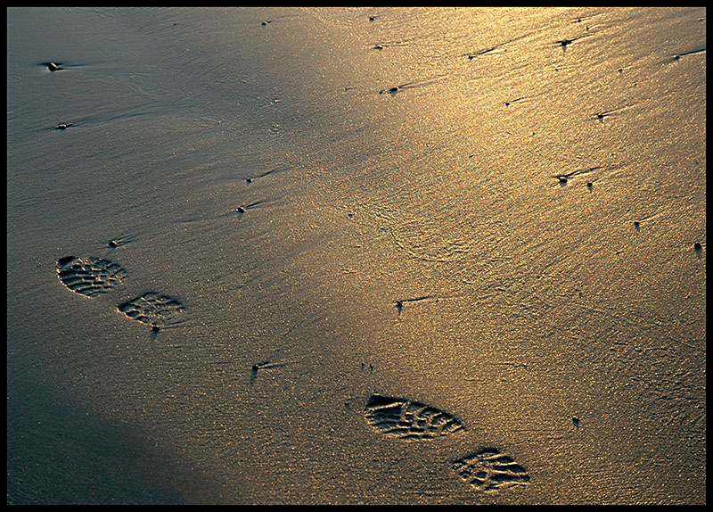 Footprints (reload)