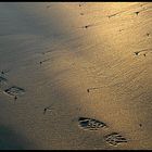 Footprints (reload)