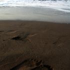 Foot,Sea,Beach,sky