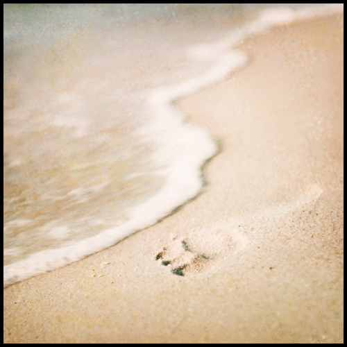 footstep