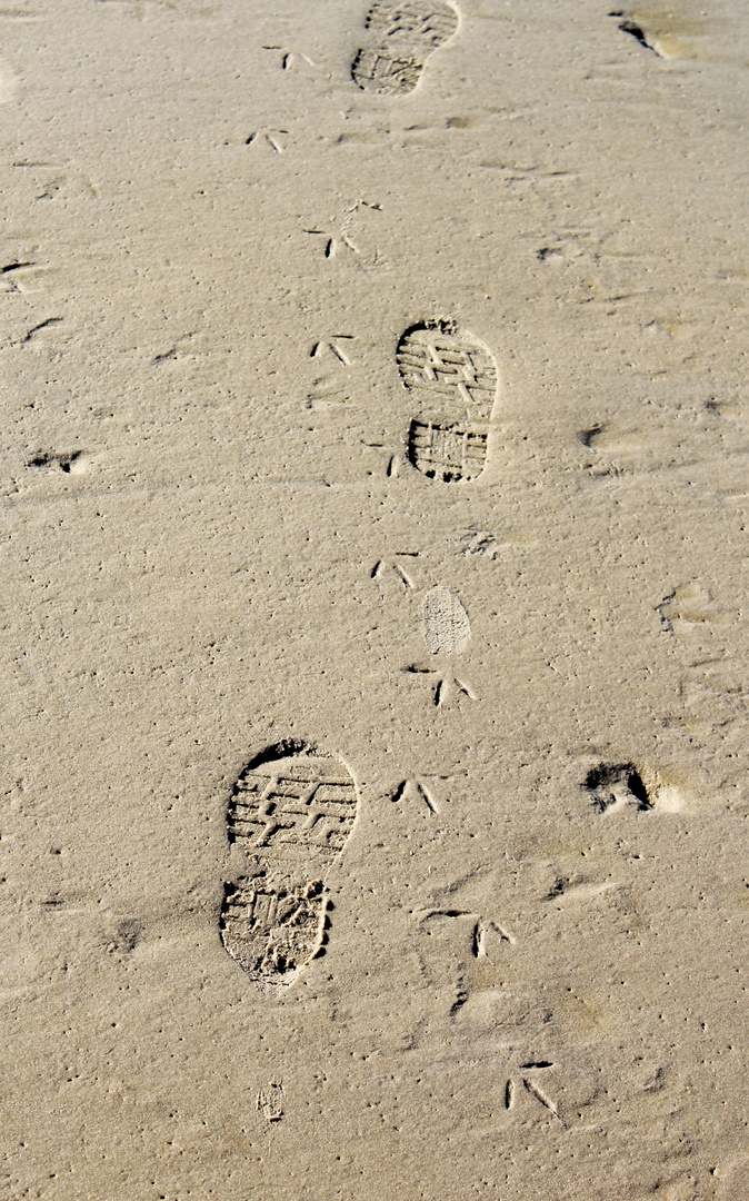 Footsteps...