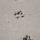 Footsteps