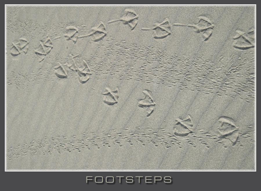 Footsteps