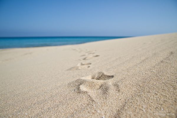 ...: Footsteps :...